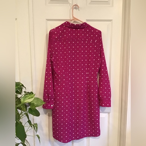 The Limited, Pink polka dot dress, size 8 - Picture 4 of 11